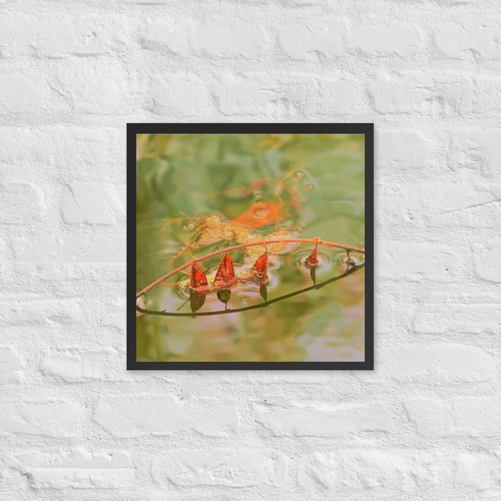 Floating leaves on a lake