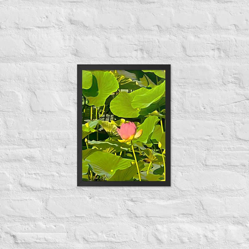Flower among lilies