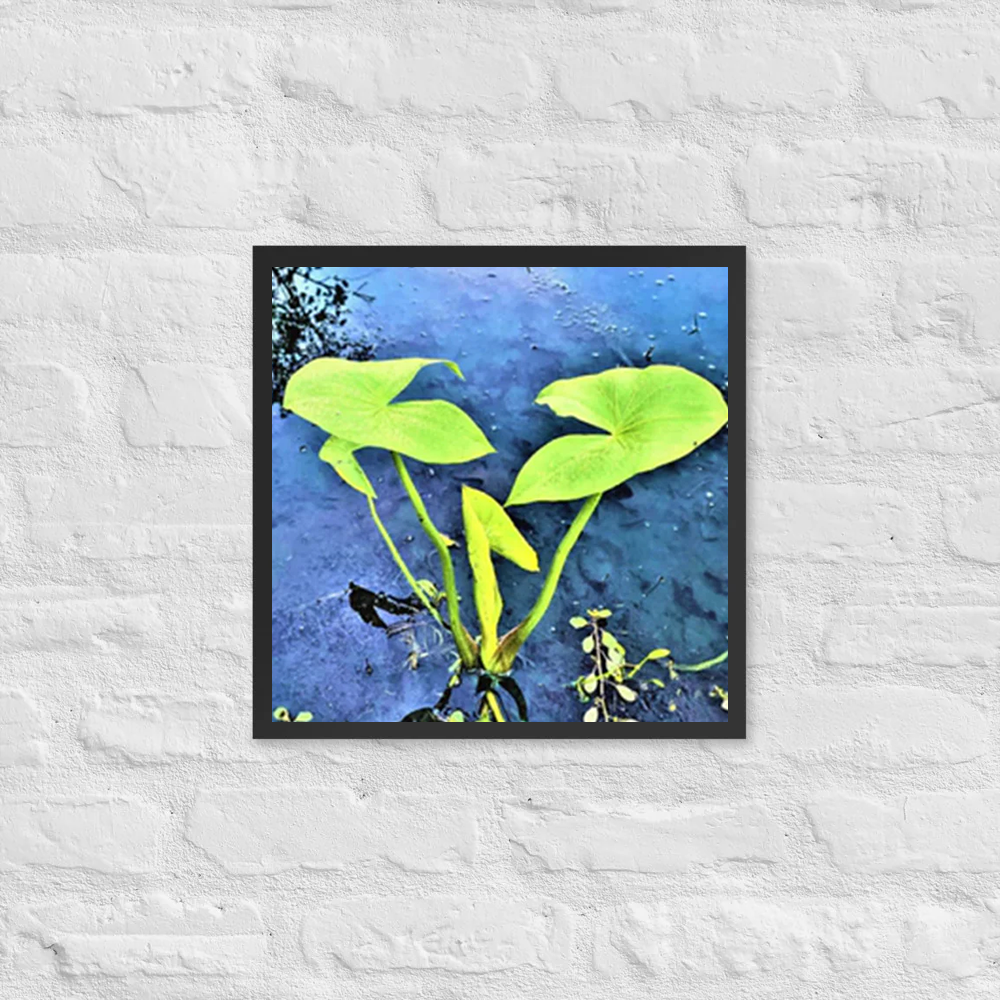 Geometric plants on lake