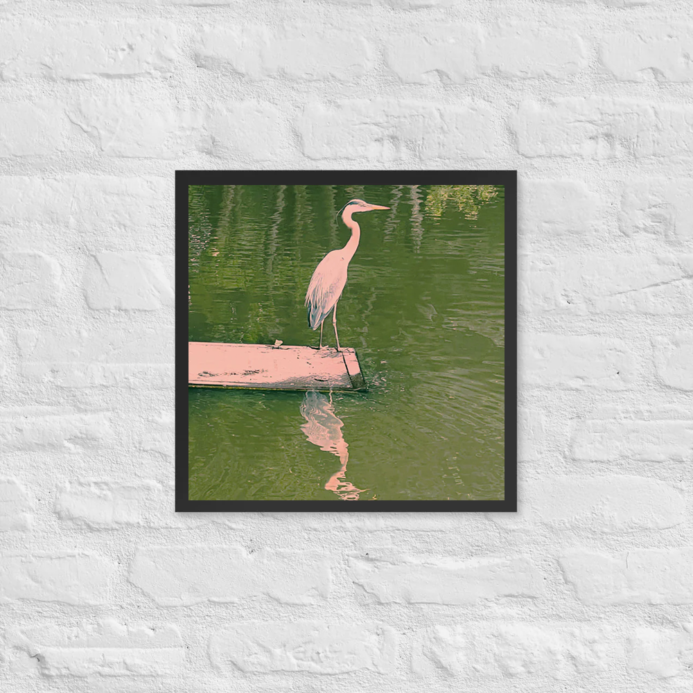 Great Blue Heron water reflection