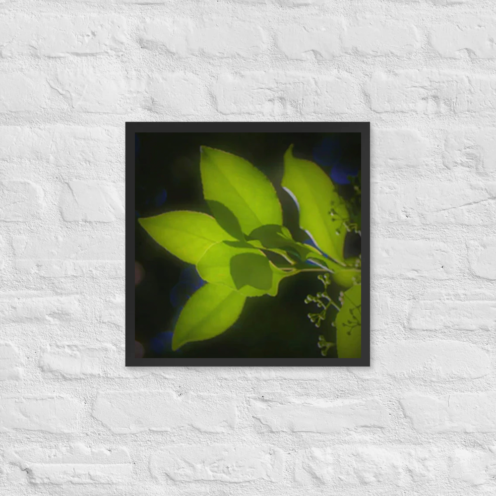 Leaves glowing in sunlight