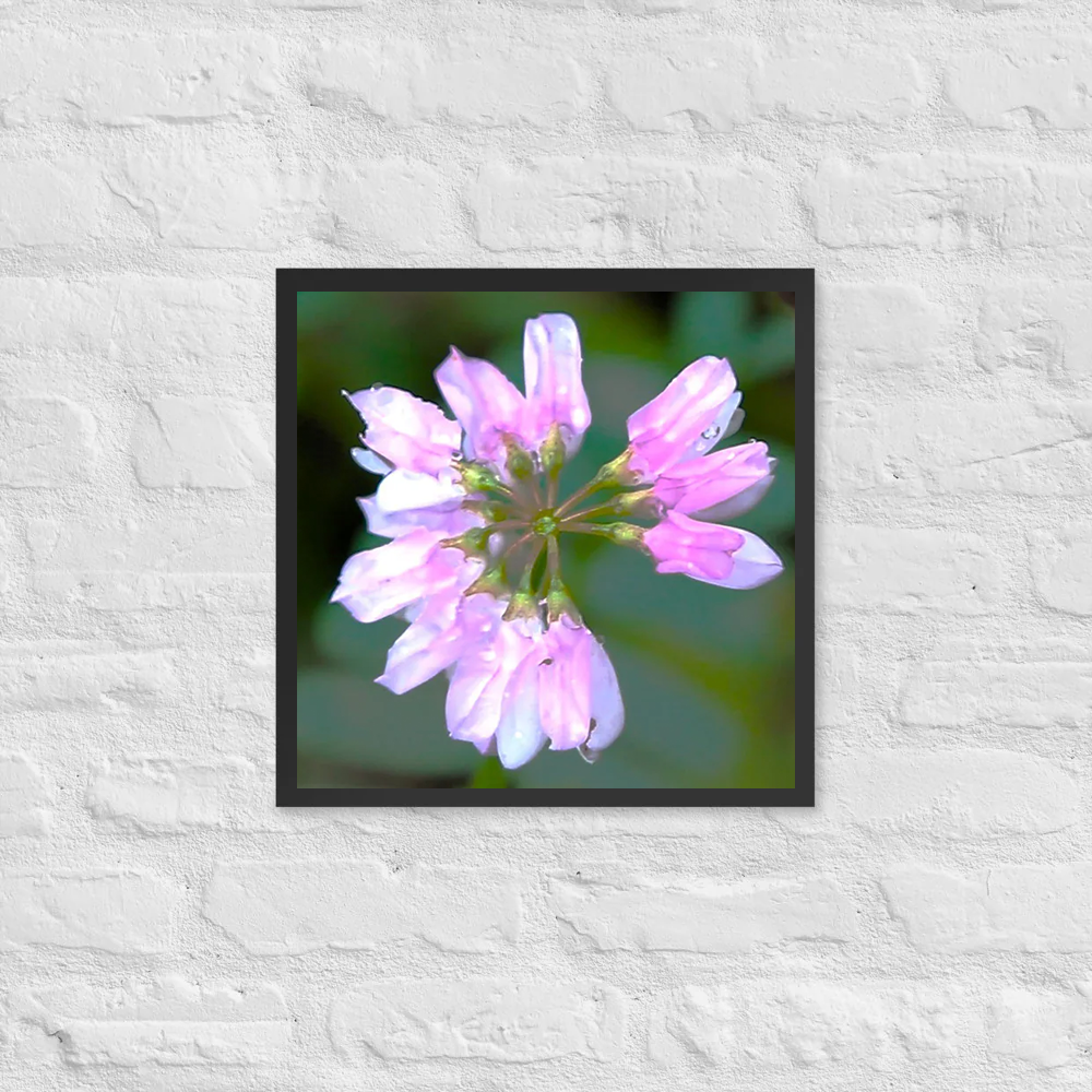 Pastel wildflower petals