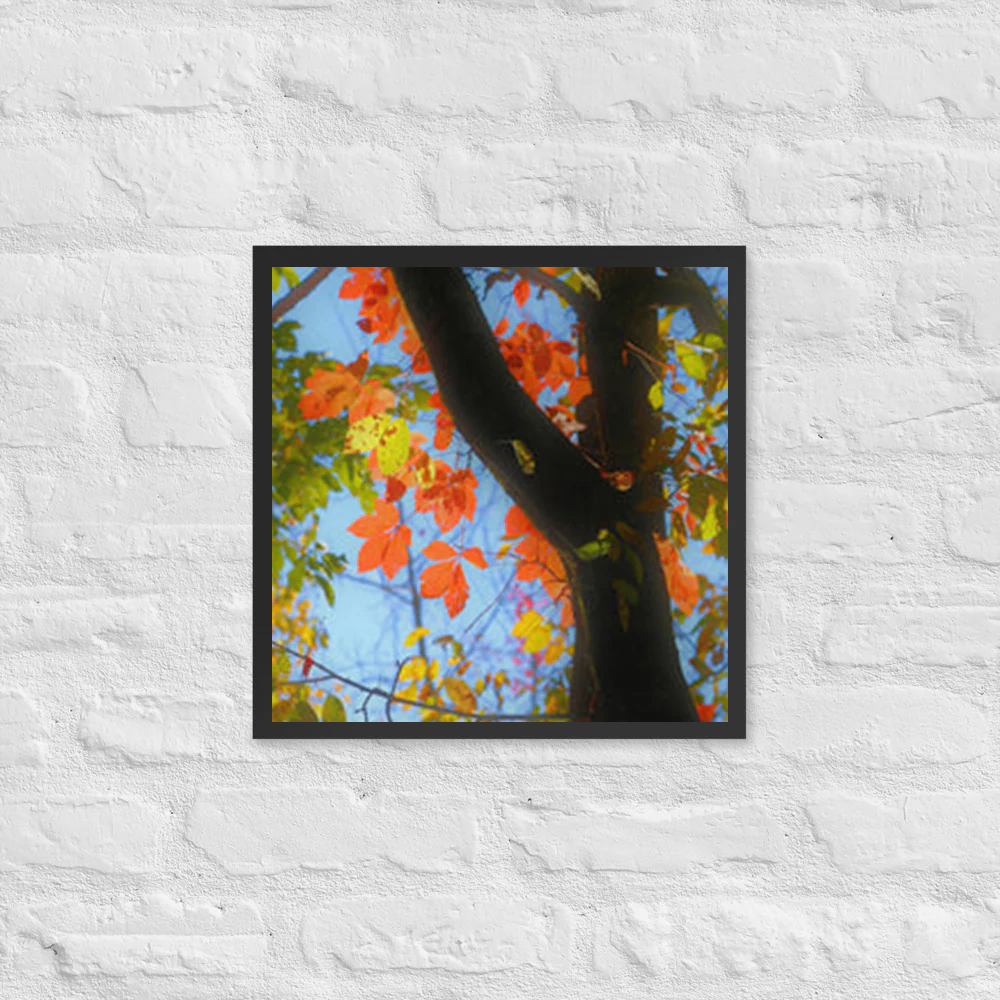 Red and yellow leaves