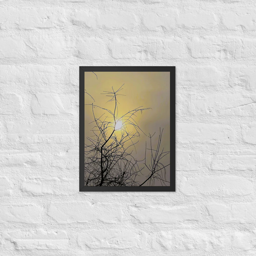 Sun through fog and branches