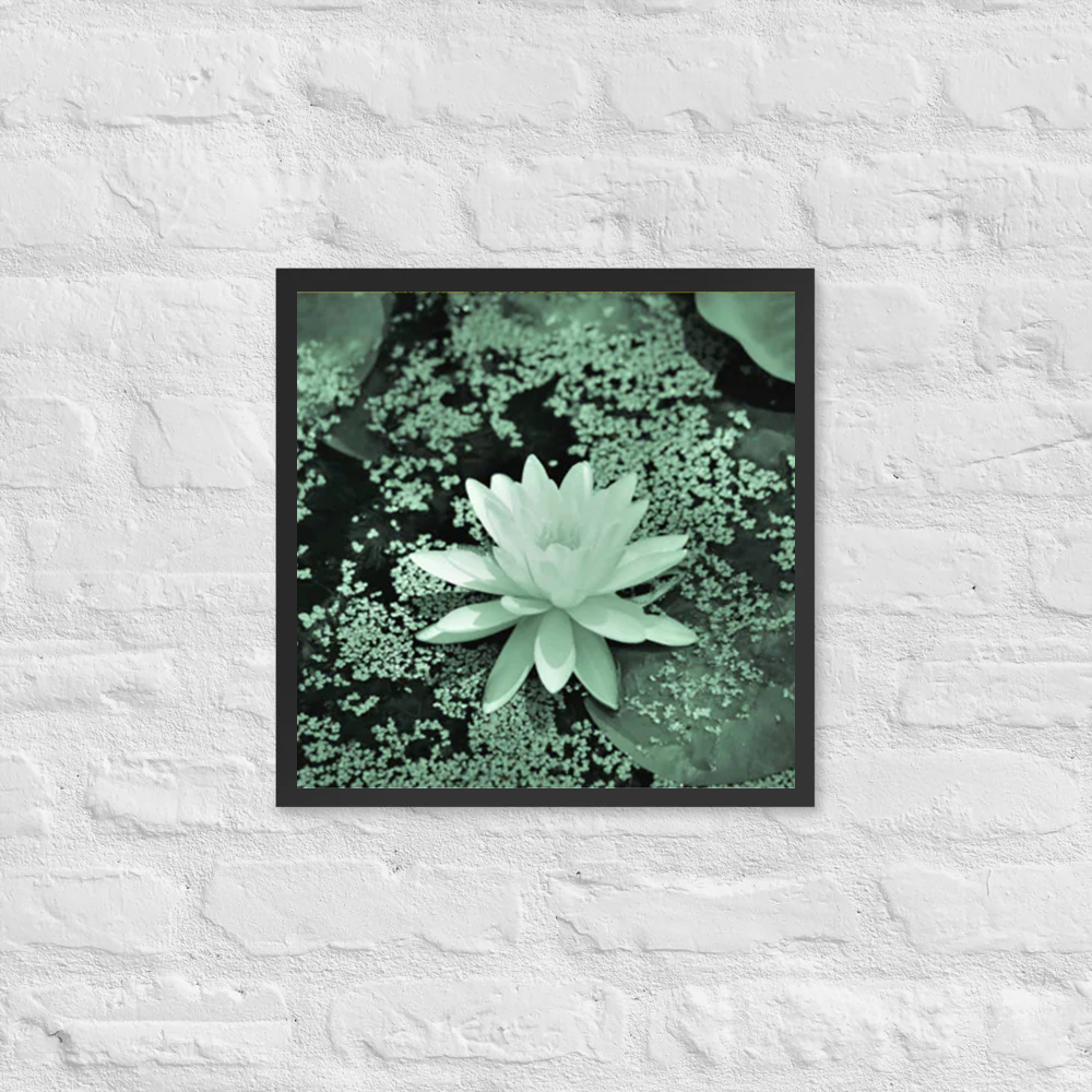 White flower floating on lake