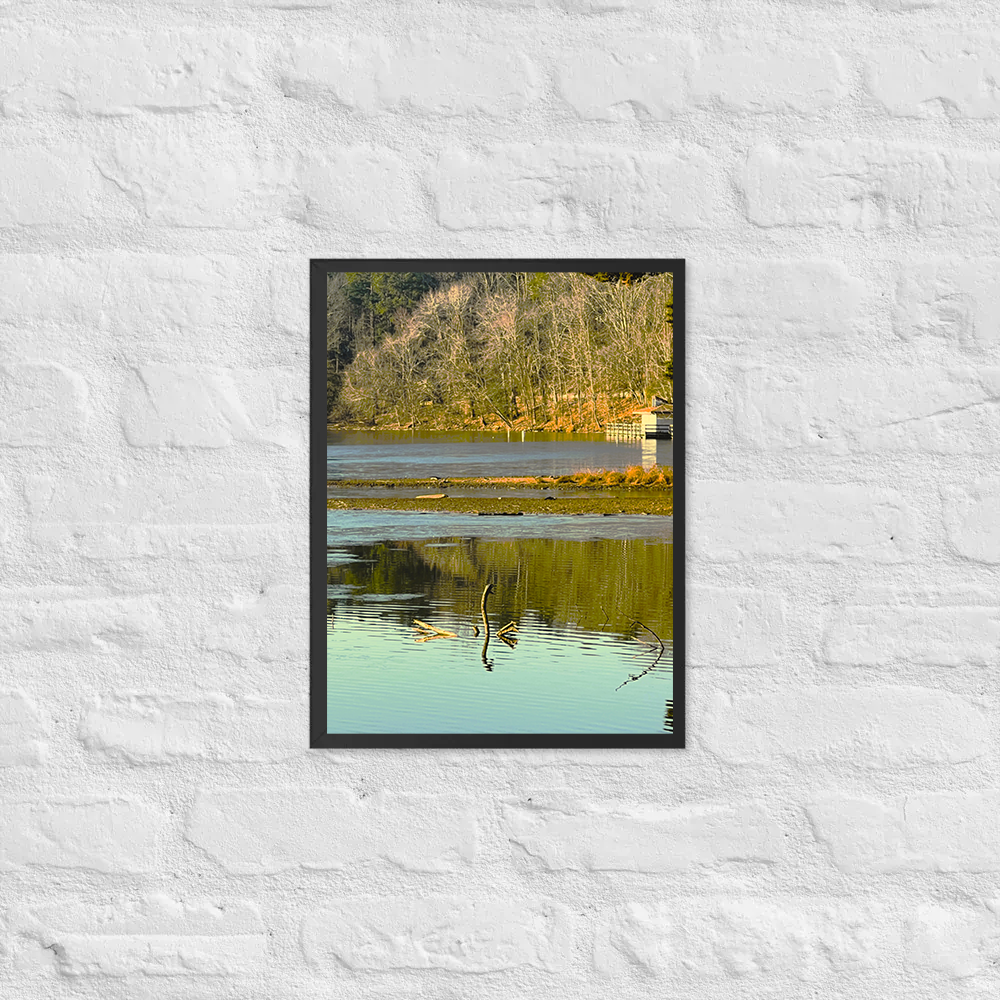 Across Lake Shelley