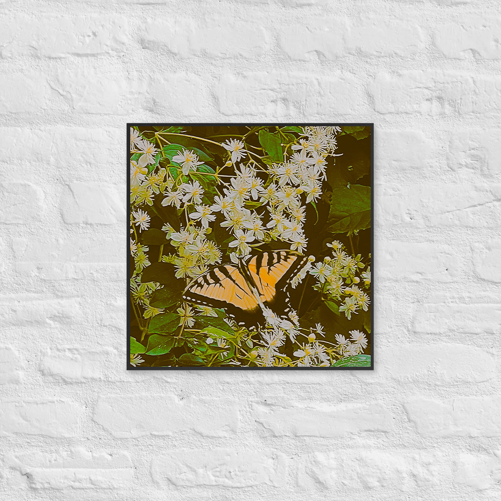 Butterfly among flowers